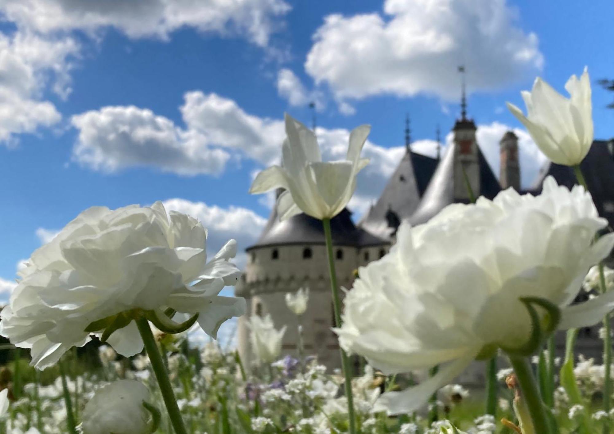 Une Maison, Un Jardin Berthenay Exterior foto
